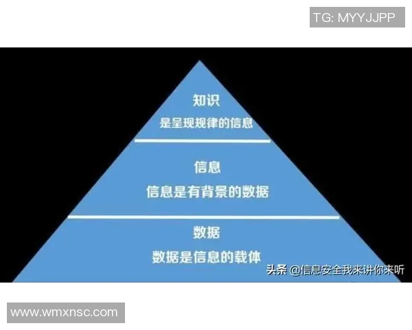 基于人工智能技术的足球球星相似度分析软件研发与应用探索