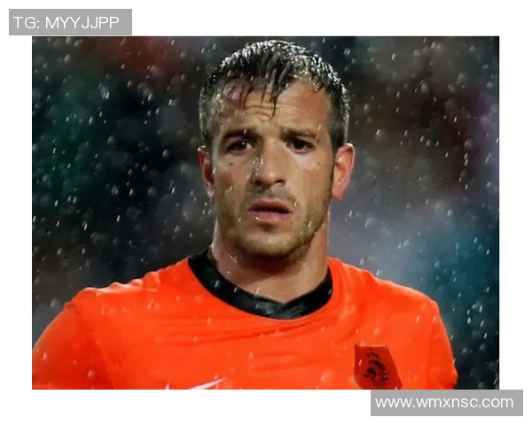 荷兰足球队明星球员数量揭秘一探究竟