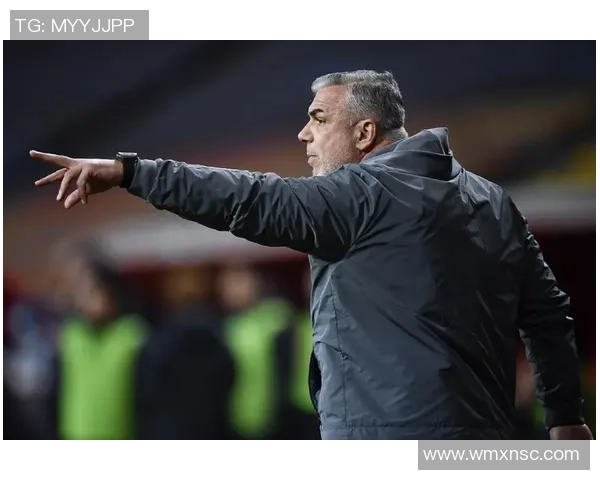 足球明星因涉嫌犯罪入狱 引发社会关注与球迷热议