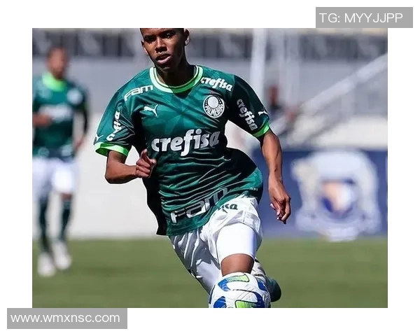 2025年全球足球球星强度排行榜前十名盘点与分析