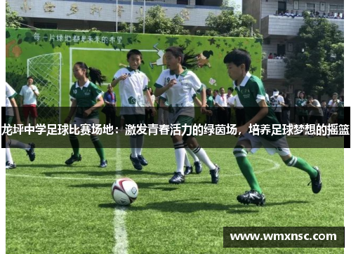 龙坪中学足球比赛场地：激发青春活力的绿茵场，培养足球梦想的摇篮